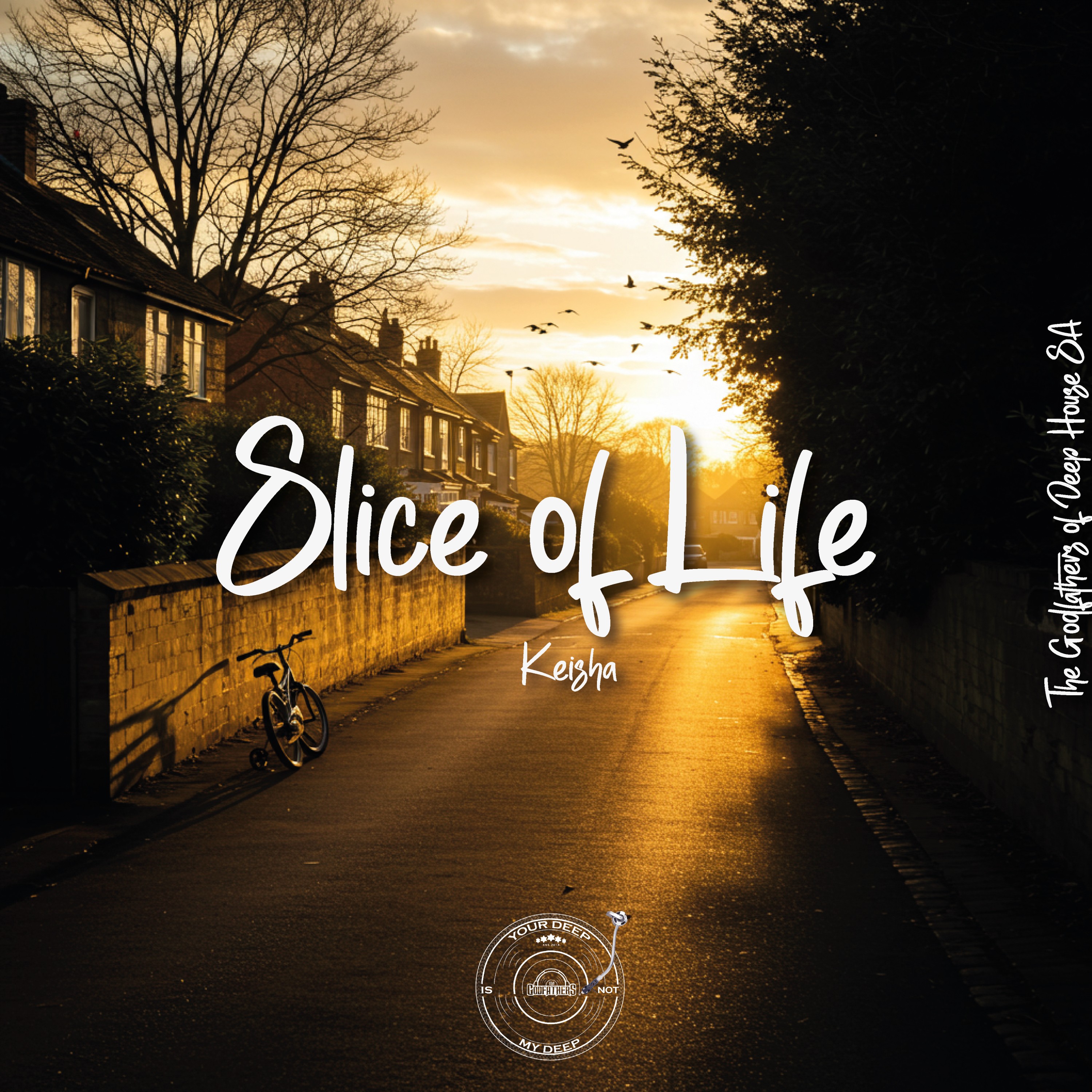 Slice of Life cover art